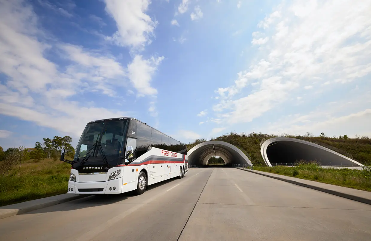 White First Class Transportation motorcoach on a highway beside a wildlife crossing tunnel